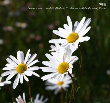 봉화상회 이미지