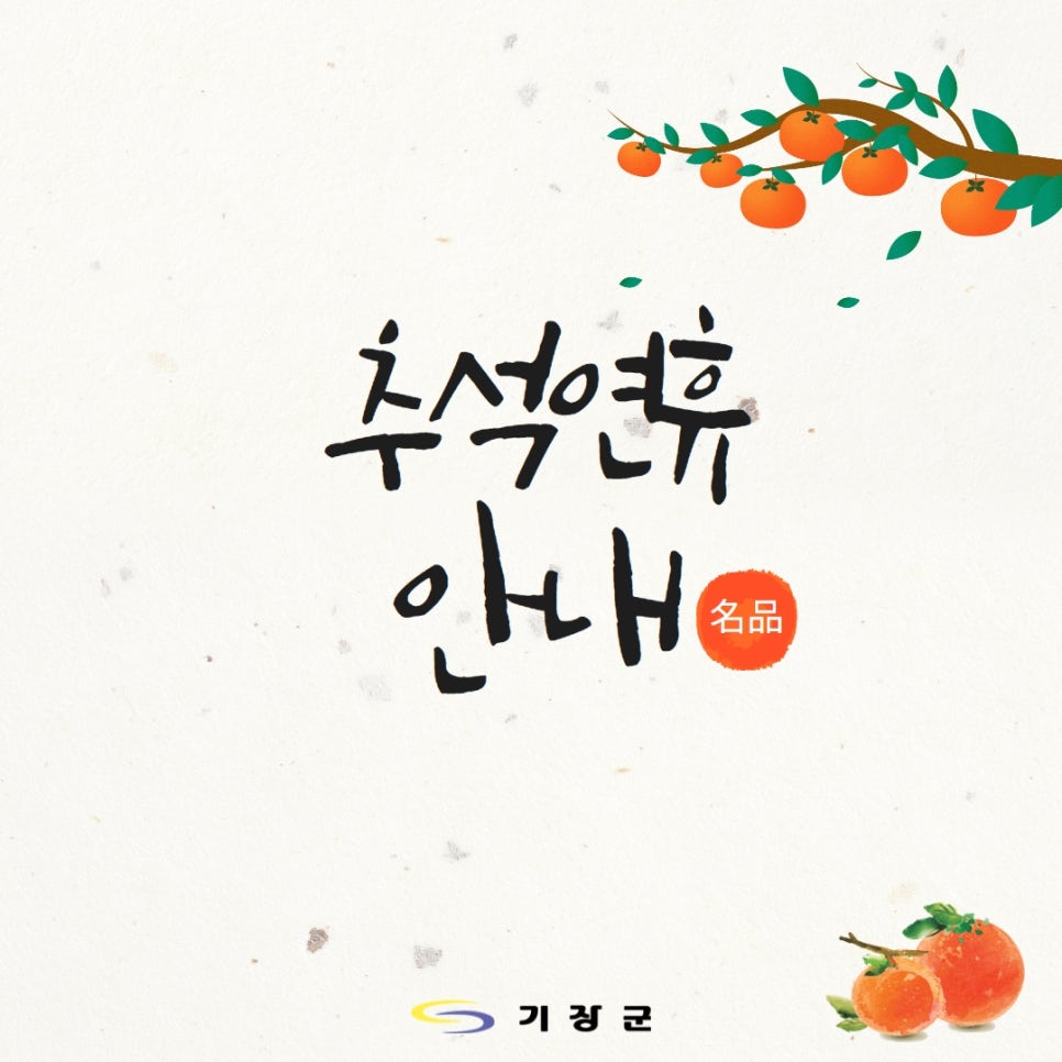 대정플라스틱 이미지