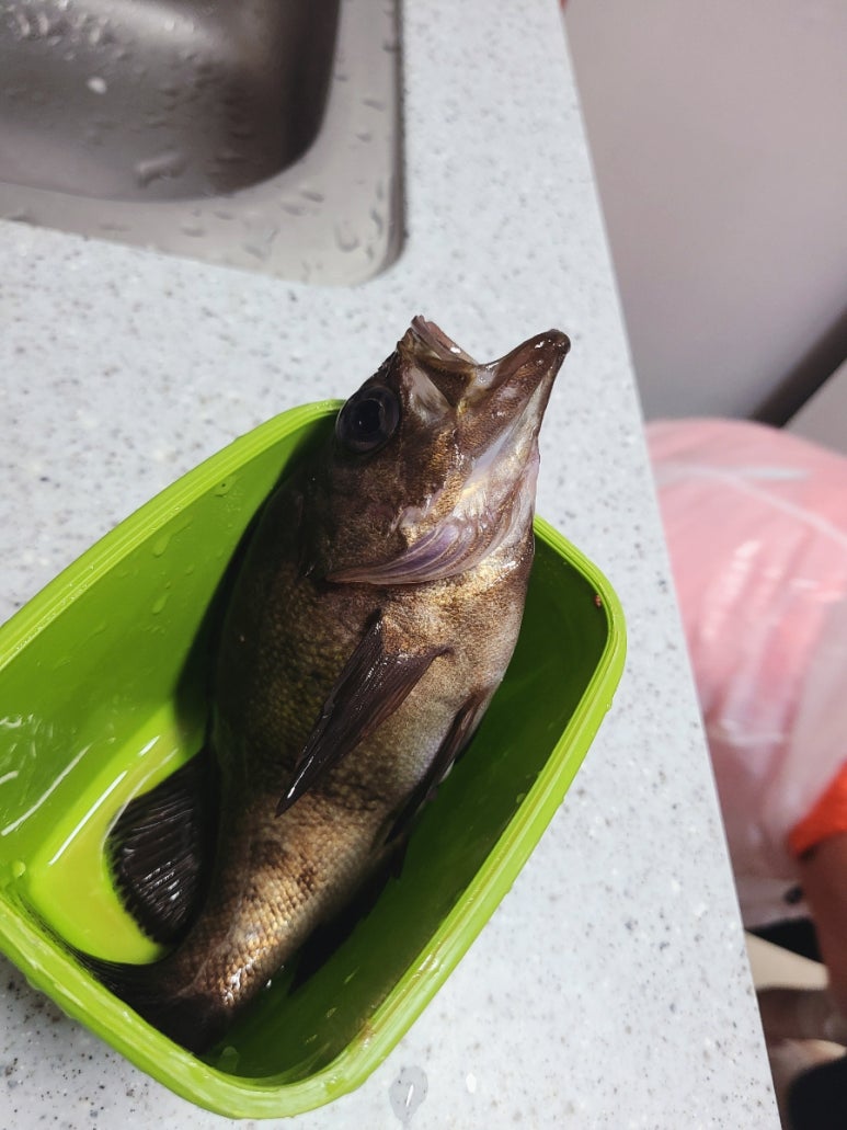 산달펜션 이미지