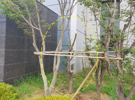 세이브트리엑스퍼트 이미지
