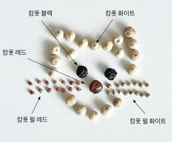 오페퍼 이미지
