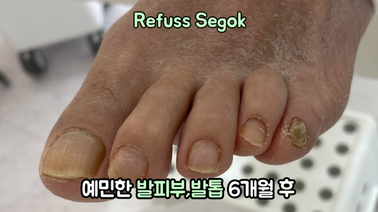 레푸스강남세곡점 이미지