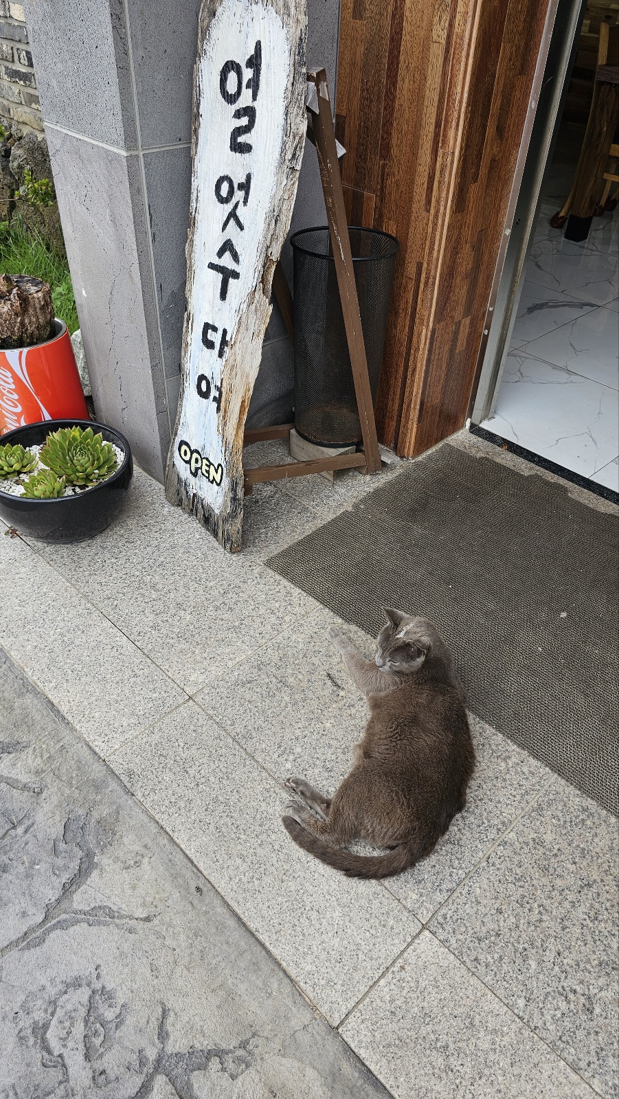 배터지는 생 돈까스 이미지