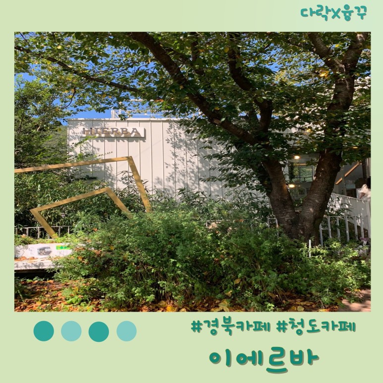 이에르바 이미지