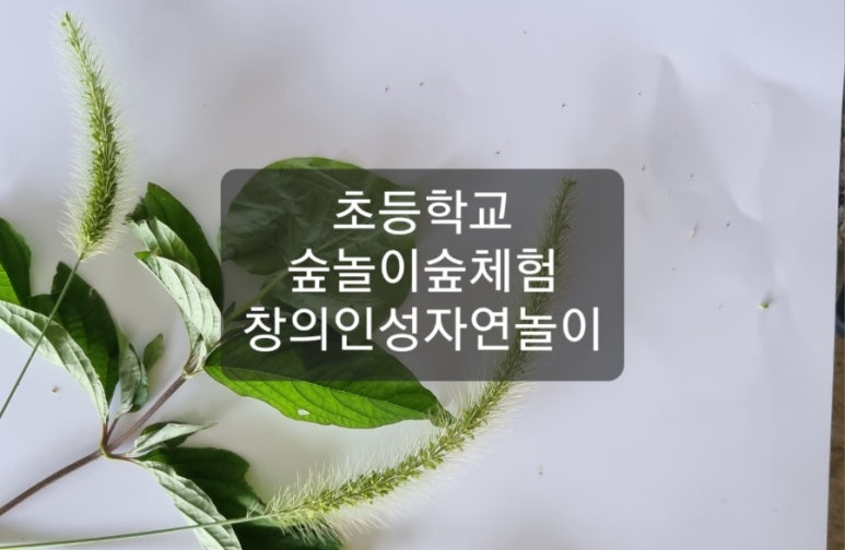 감성진로교육연구소 이미지