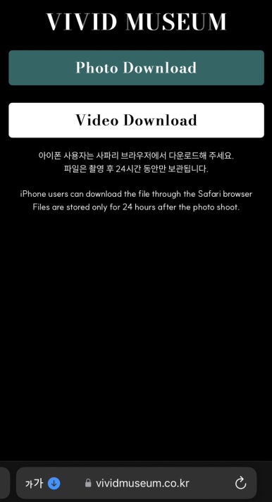 비비드뮤지엄 이미지