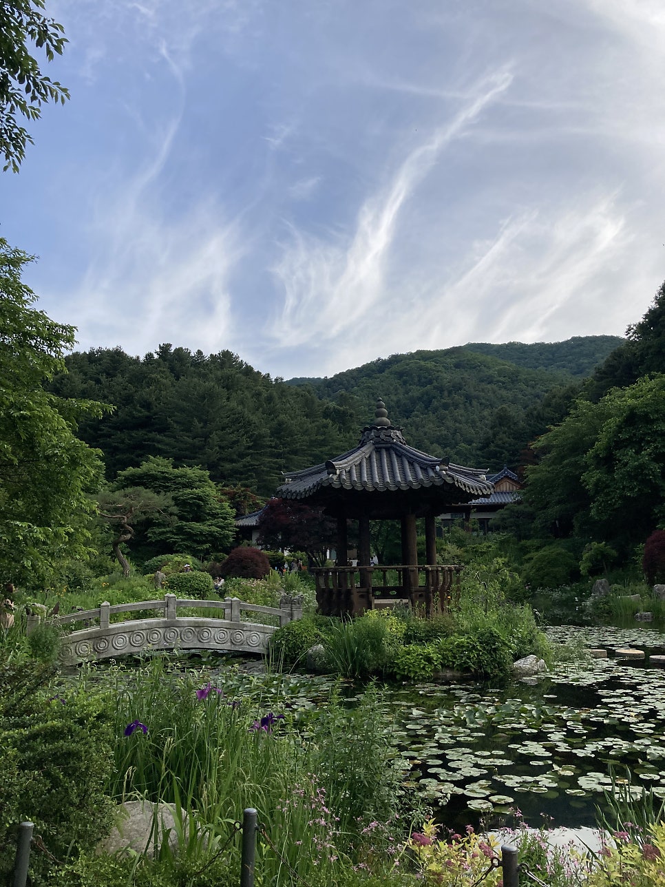 아침고요수목원 수국, 서울 근교 당일치기 여행 코스 — 사진 13