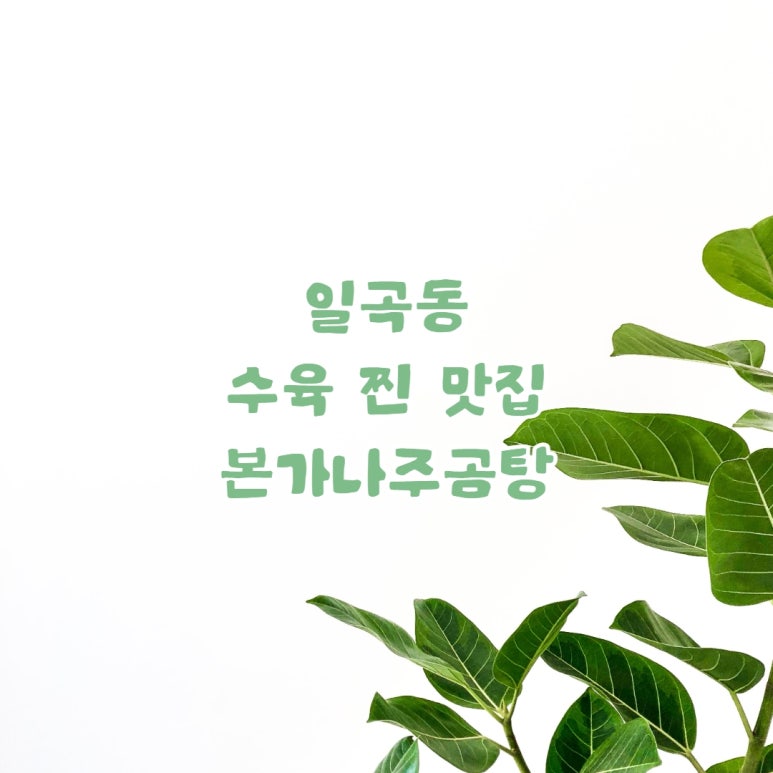 본가나주곰탕 이미지
