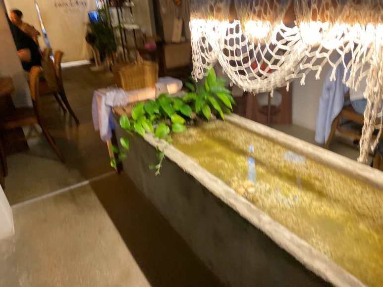 케이라라 이미지