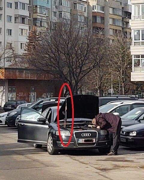 오우너 이미지