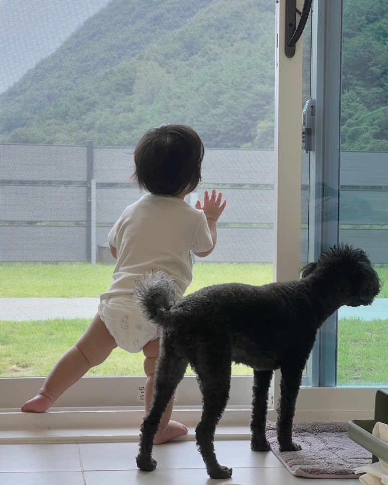 멍온스테이 이미지
