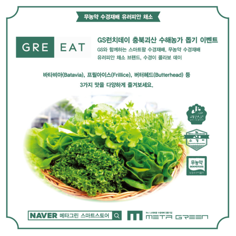 메타론칭 이미지