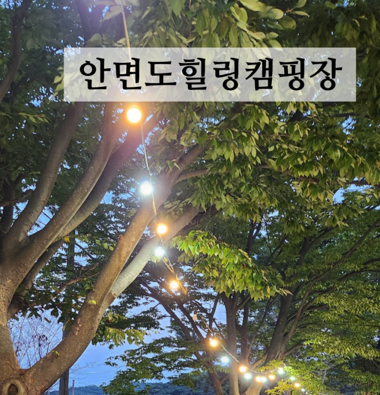 그래가 이미지