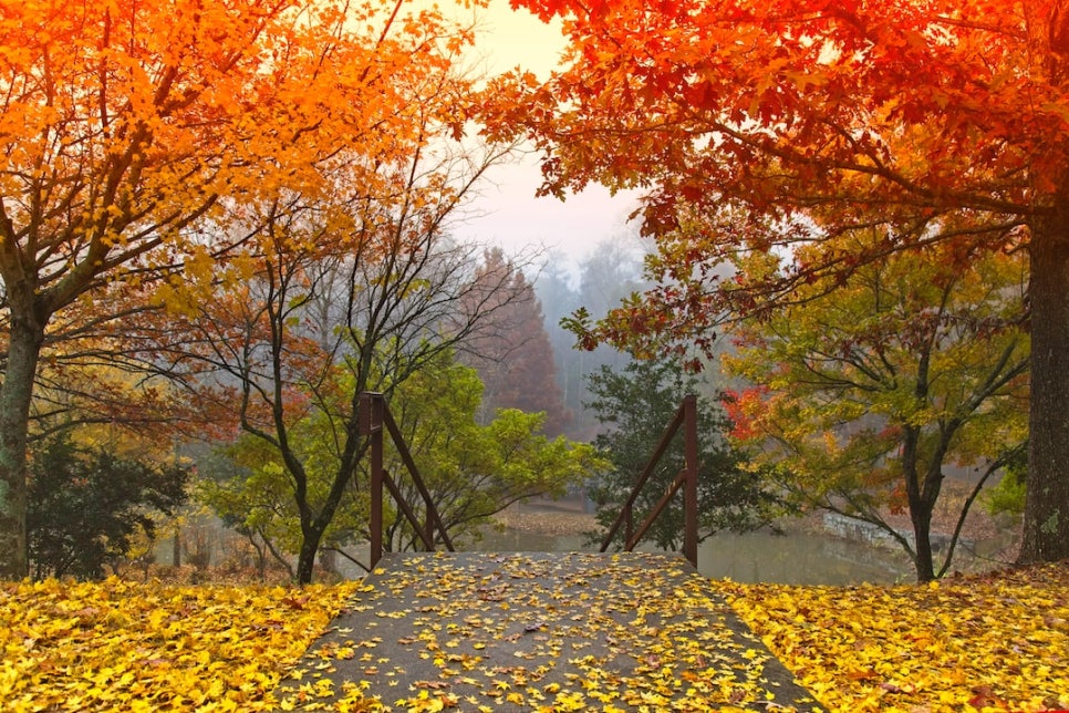 청담맑은의원 이미지