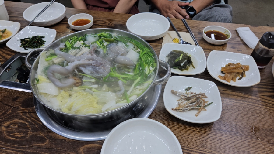 해남뻘낙지 이미지
