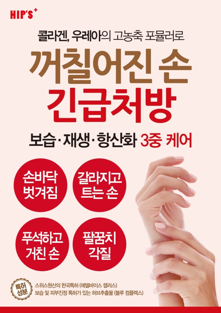 손데렐라 이미지