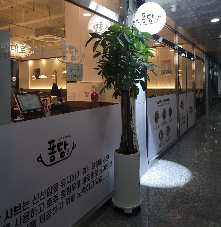 퐁당 탕정점 이미지