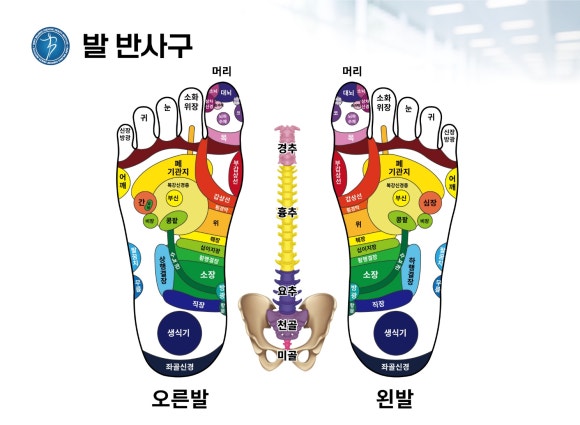 신체발란스운동연구소 이미지