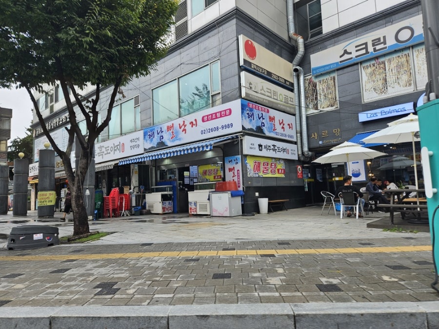 해남뻘낙지 이미지