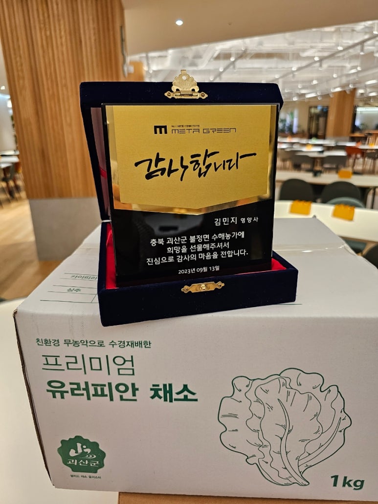 메타론칭 이미지