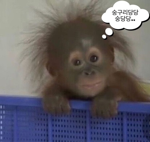 하늘참숯화로구이 이미지