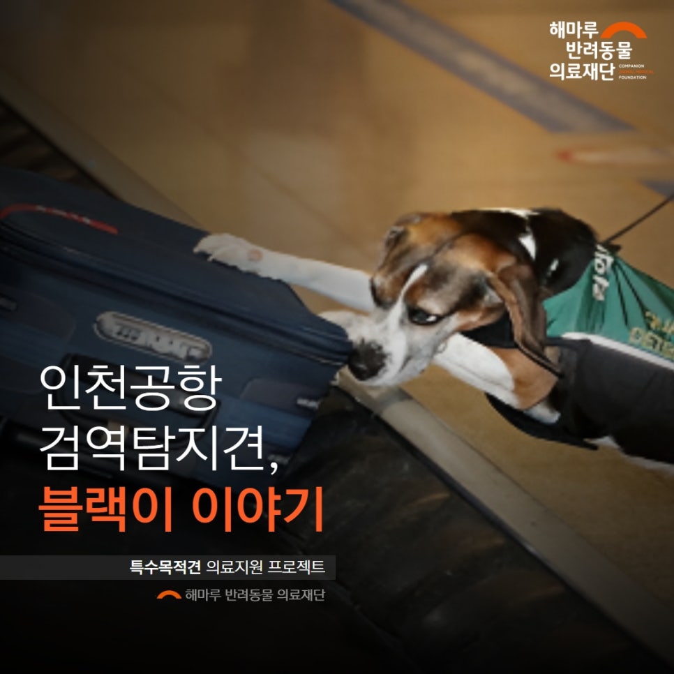 해마루 축산 이미지