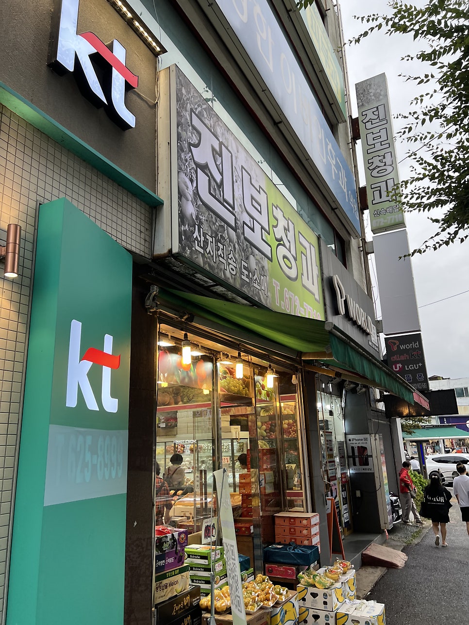 진보청과 이미지