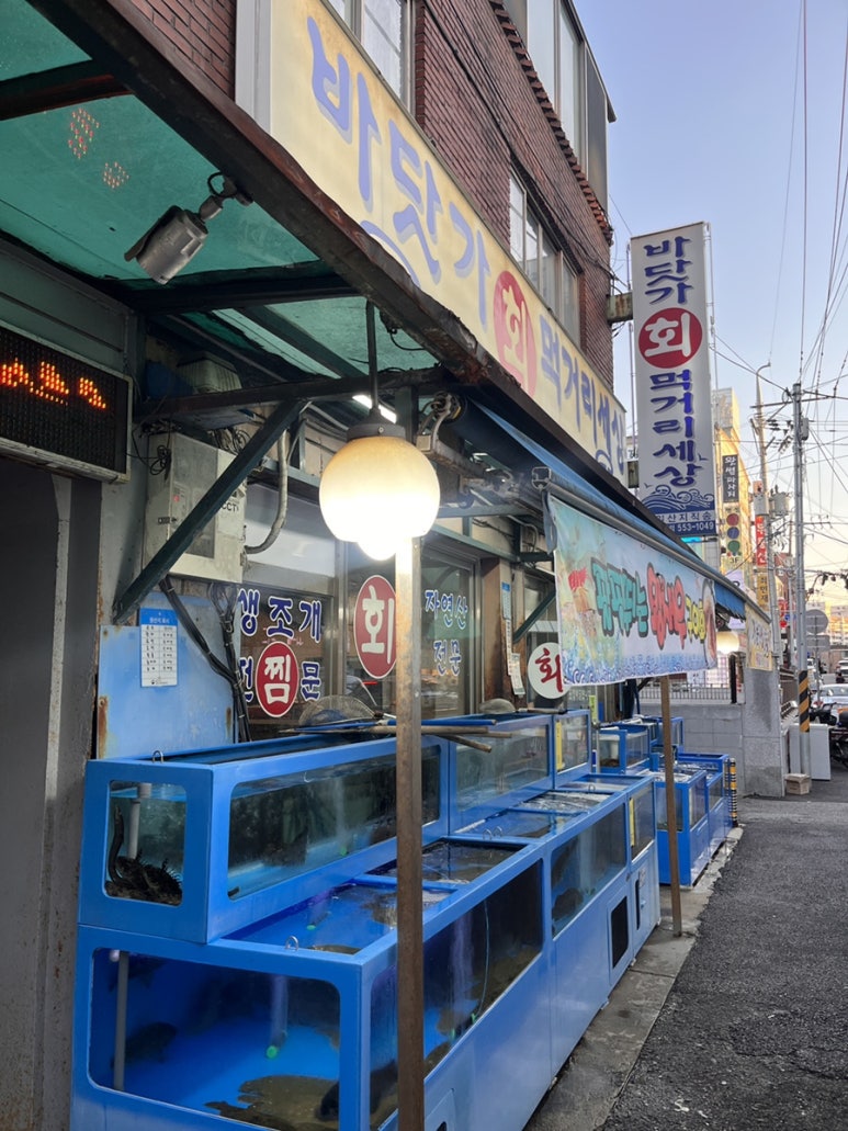 바닷가회먹거리세상 이미지