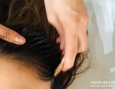 헤드스파루시 이미지