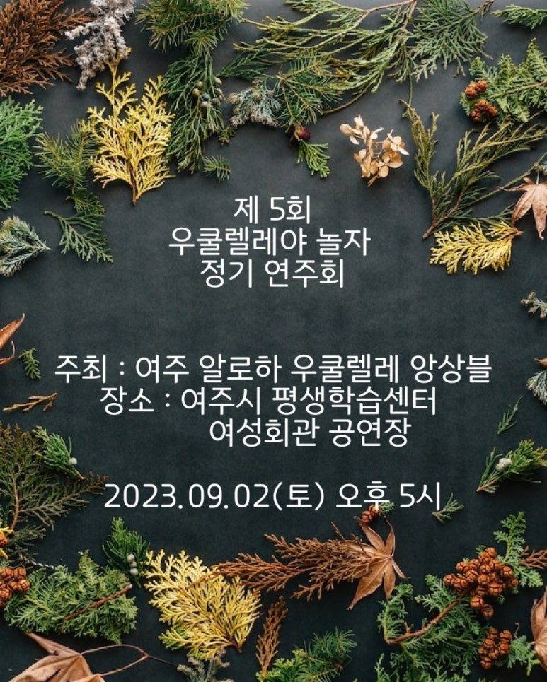 알로하우쿨렐레 이미지