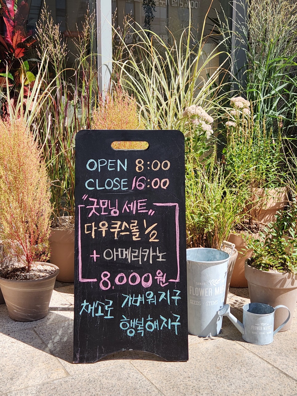 굿모닝샐리 이미지