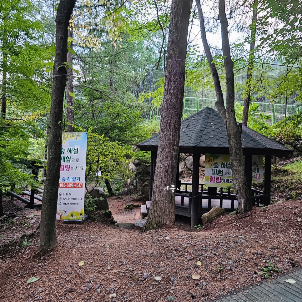 화왕산자연휴양림야영장 이미지