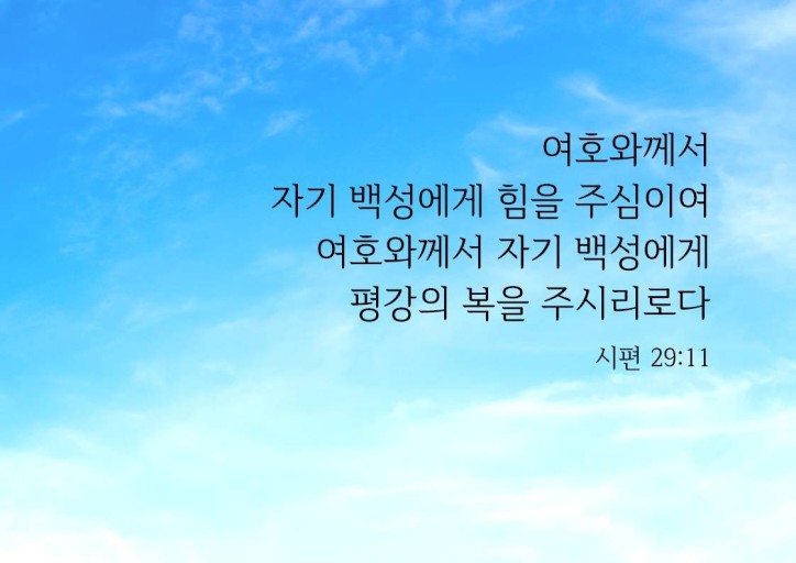 하리요8 이미지