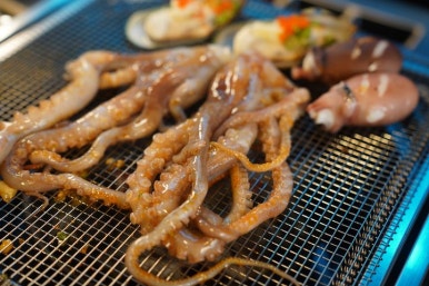 조명탄 파주동패점 이미지
