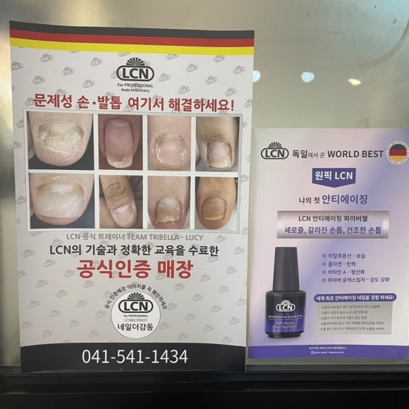 네일더감동 이미지