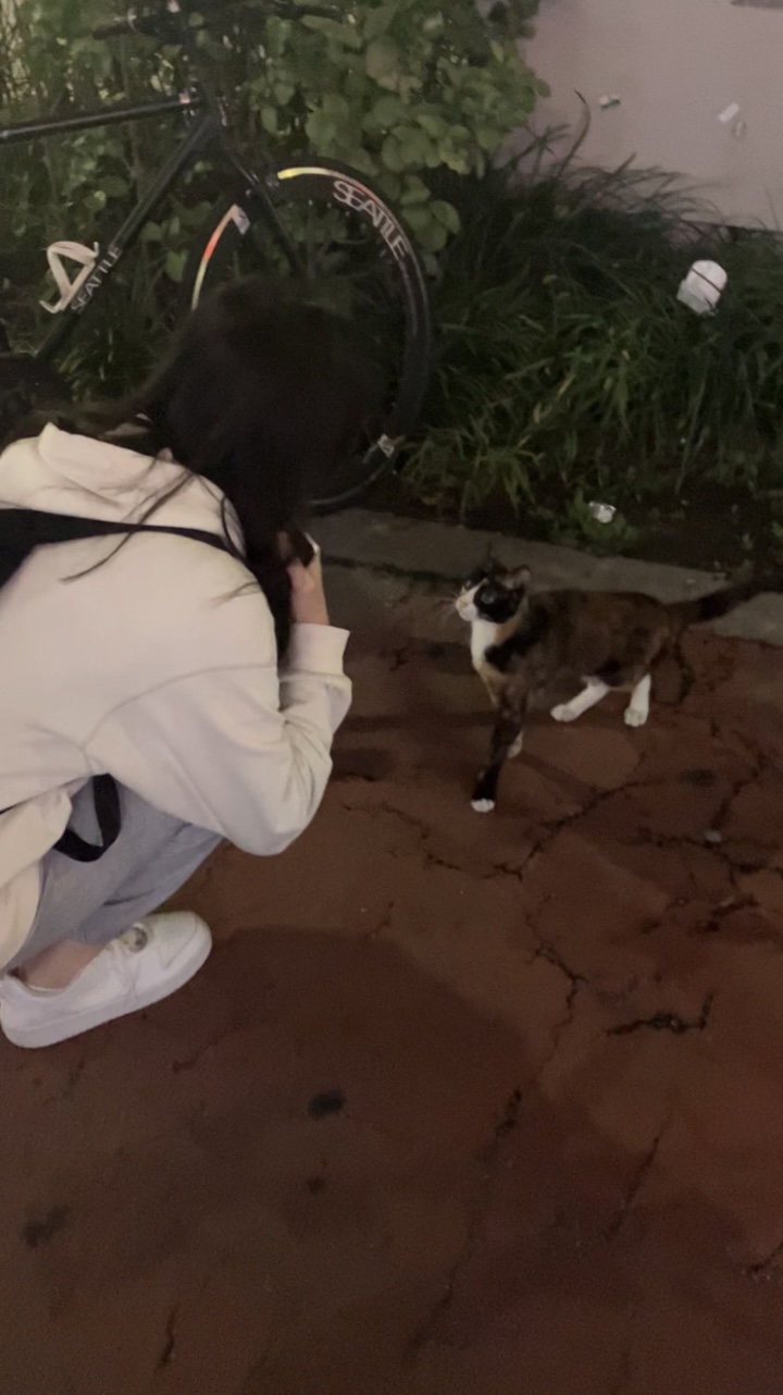 체리노래연습장 이미지