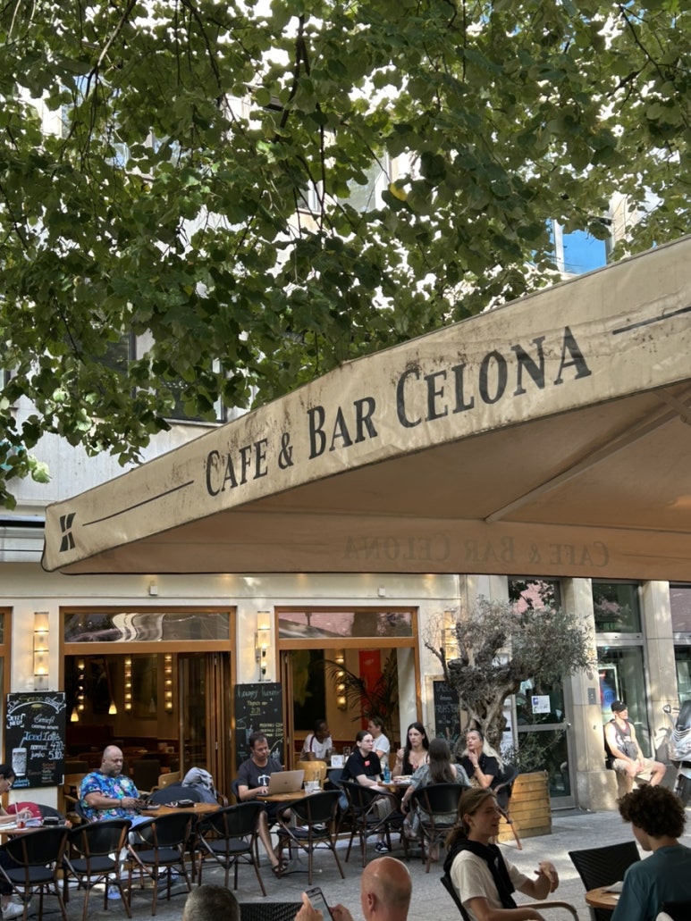 셀로나(Celona) 이미지