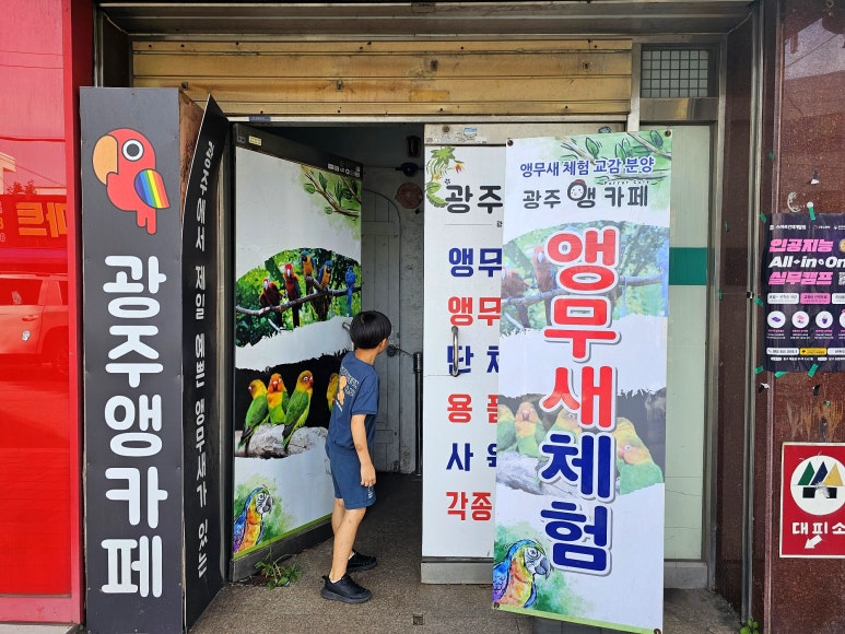 광주앵카페 이미지