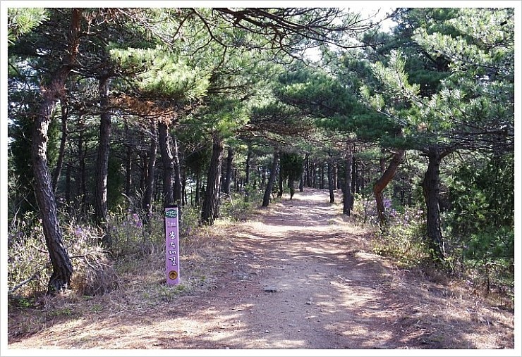 광진산소 이미지