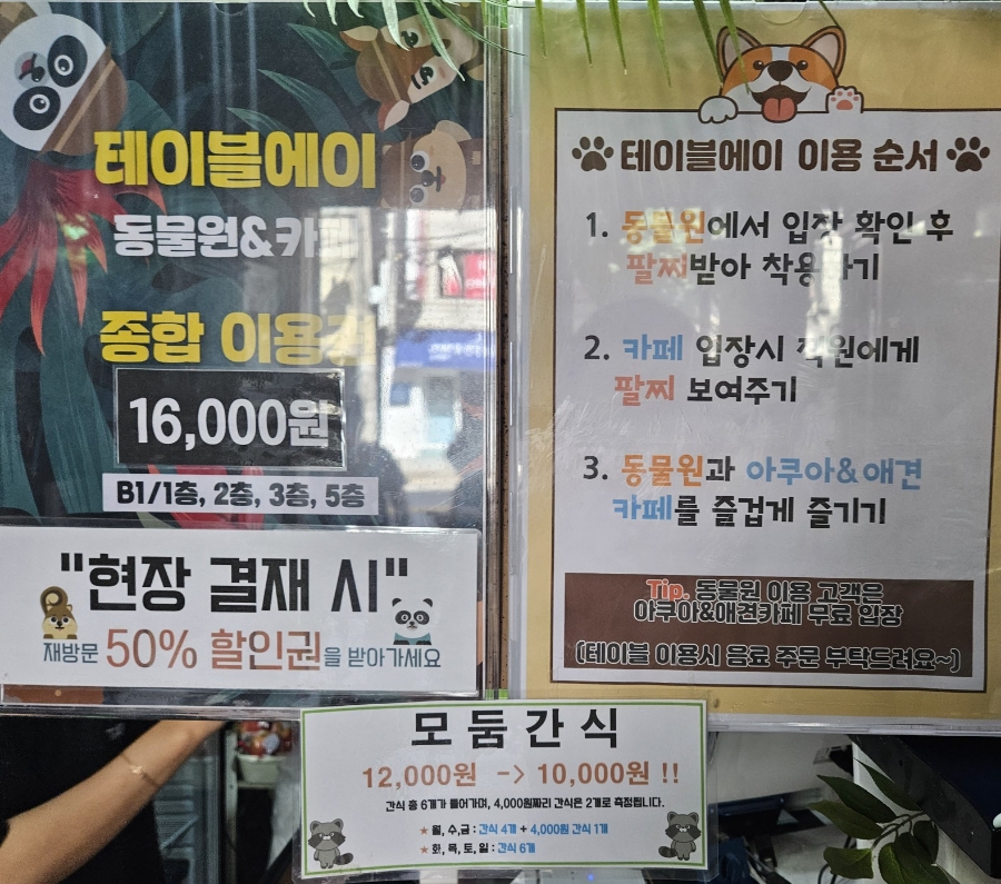홍대 이색 데이트, 테이블에이 동물원 고양이와 교감 — 사진 9