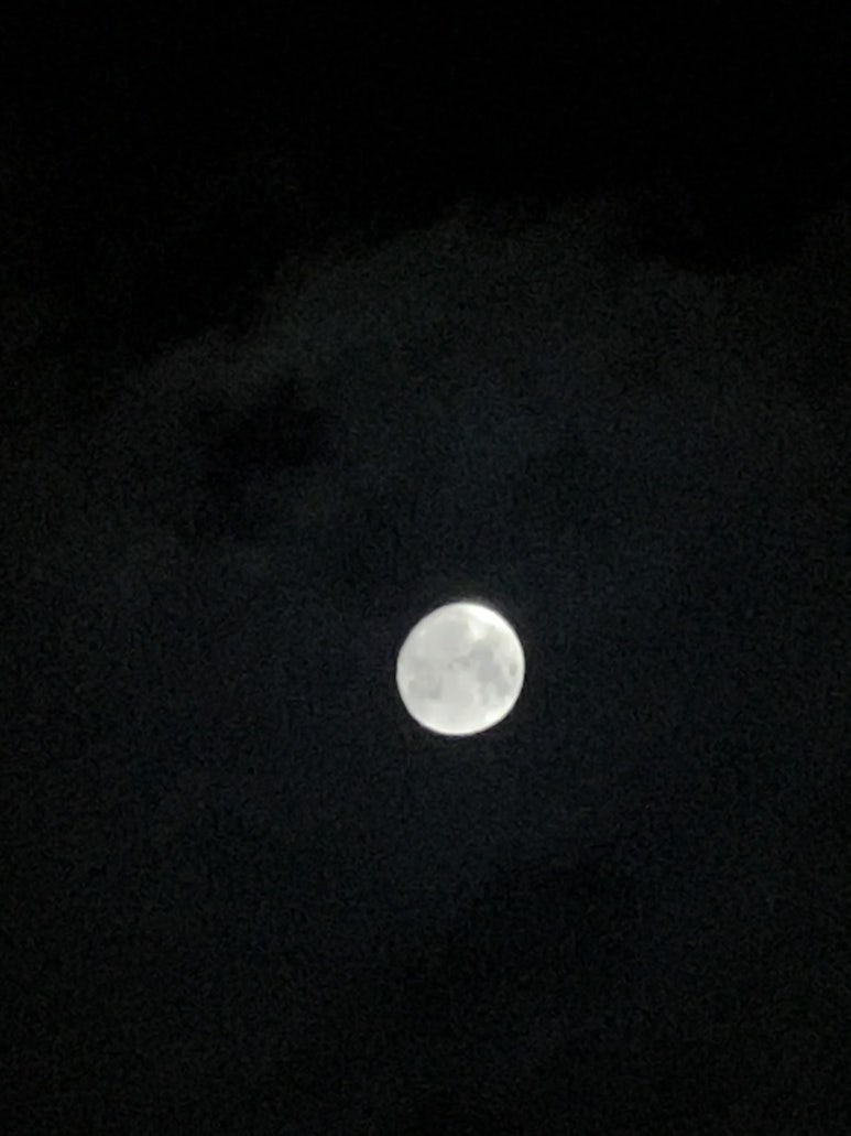 제일곱창 이미지