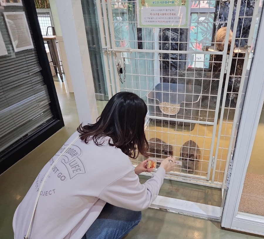 홍대 이색 데이트, 테이블에이 동물원 고양이와 교감 — 사진 6