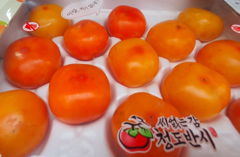 순풍과일나라 이미지