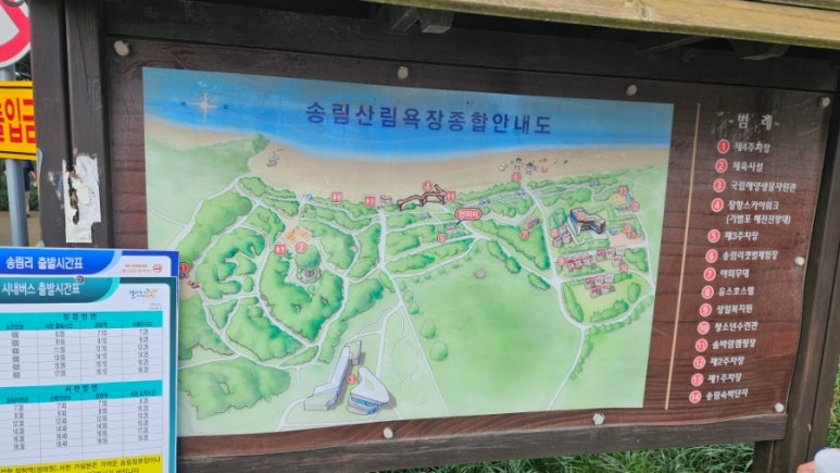 송림대중 이미지