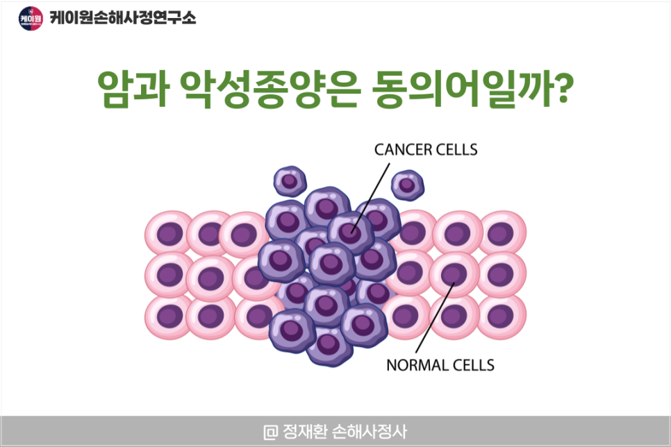 종양의 형태학적 분류와 질병분류 코드 : 네이버 블로그