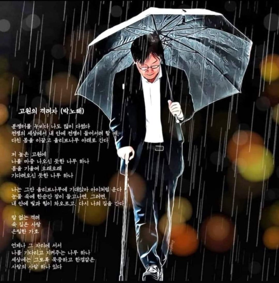 (주)에이스여행사 이미지