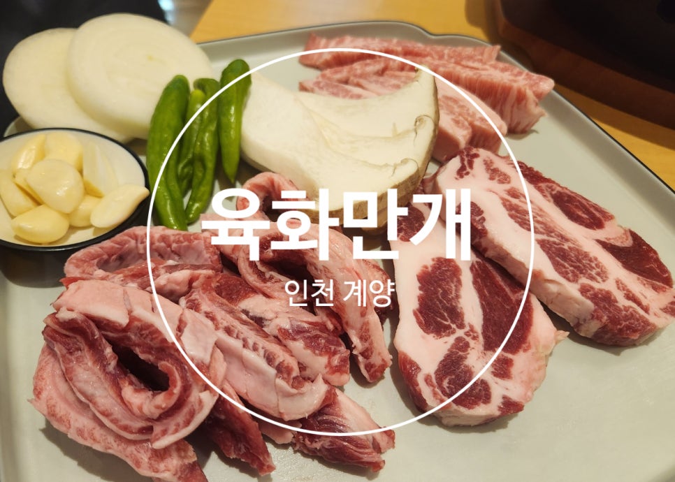 육화만개 이미지