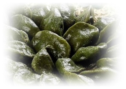 마실이야기 이미지