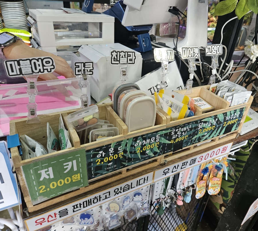 홍대 이색 데이트, 테이블에이 동물원 고양이와 교감 — 사진 11
