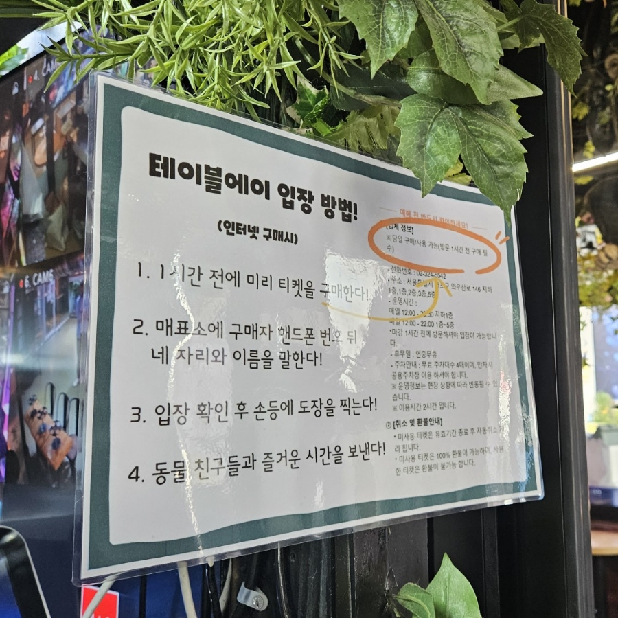 홍대 이색 데이트, 테이블에이 동물원 고양이와 교감 — 사진 10